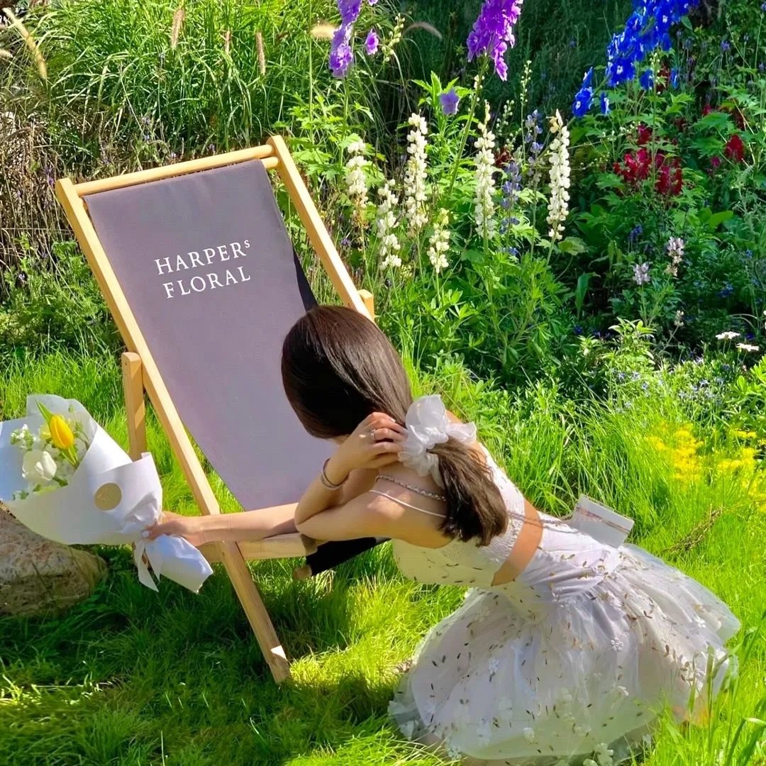 七龙珠Z：两人面临危机！超战士难以成眠